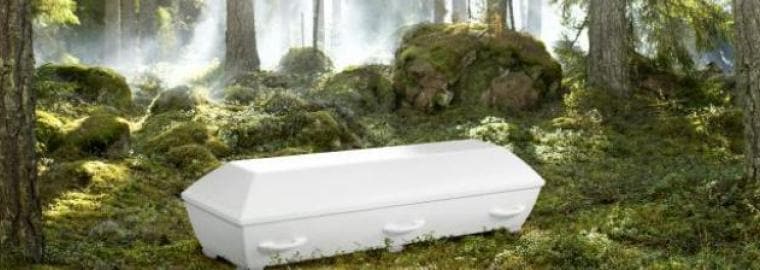 Miljövänligare begravning